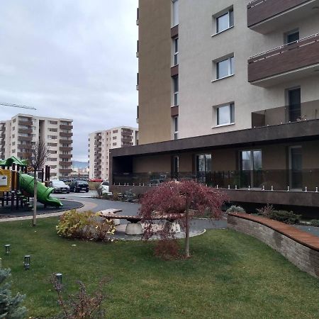 Апартаменти Casa Unchiu' Брашов Екстер'єр фото